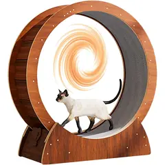 KUANGYE - Rueda de Ejercicio para Gatos - Gran Cinta de Correr para Gatos de Interiores