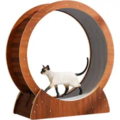 KUANGYE - Rueda Gigante Juguete Gatos Entrenamiento Ejercicio