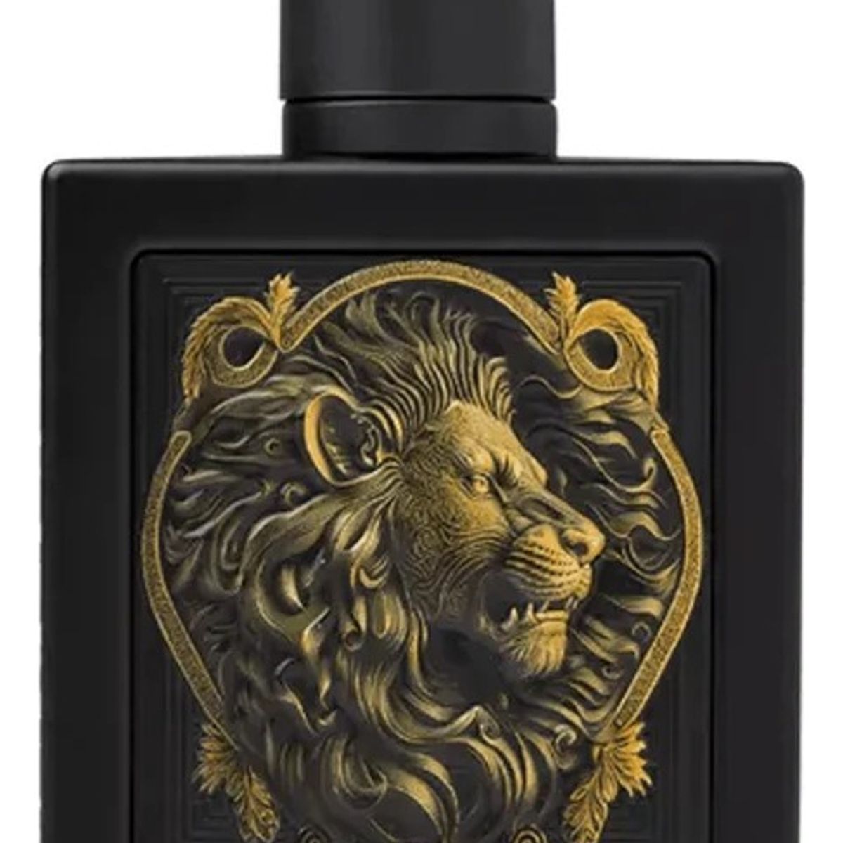 ARABE MEN S BEAUTY COMPANY - Perfume Frutal Edp Hombre Árabe Rayhaan Lion 100 Ml