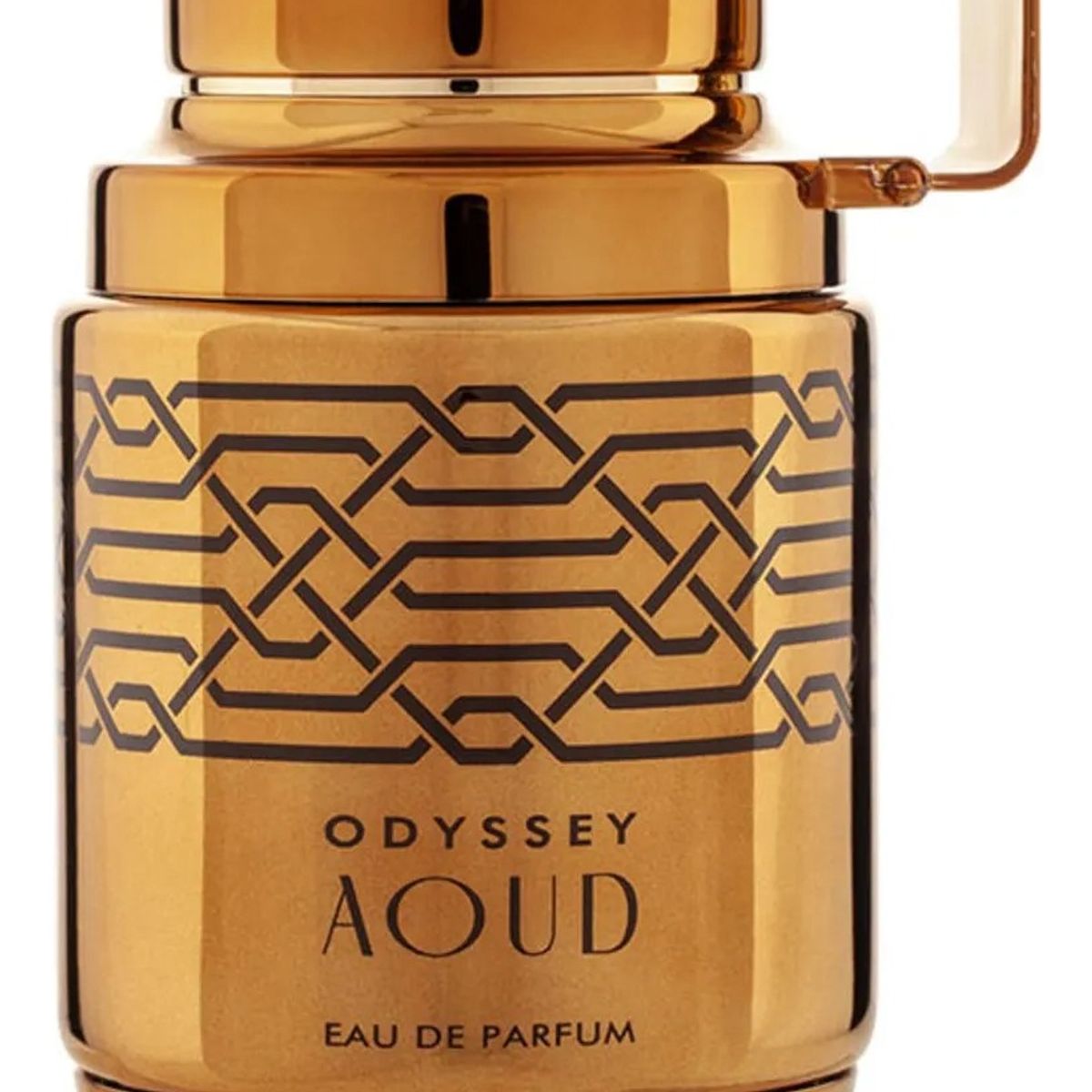 ARMAF - Perfume Cítrico Edp Hombre Árabe Armaf Odyssey Aoud 100 Ml