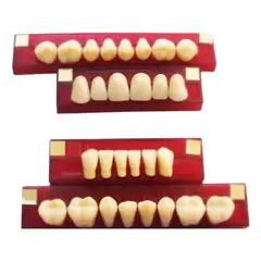 GENERICO - Tableta Dientes Acrílico Marche Anteriores Superiores
