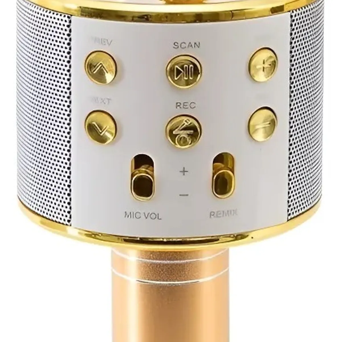 PROSOUND - Micrófono Karaoke Prosound Mk003 Color Dorado