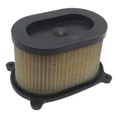 GENERICO - Filtro De Aire Hyosung 250gt / Gtr