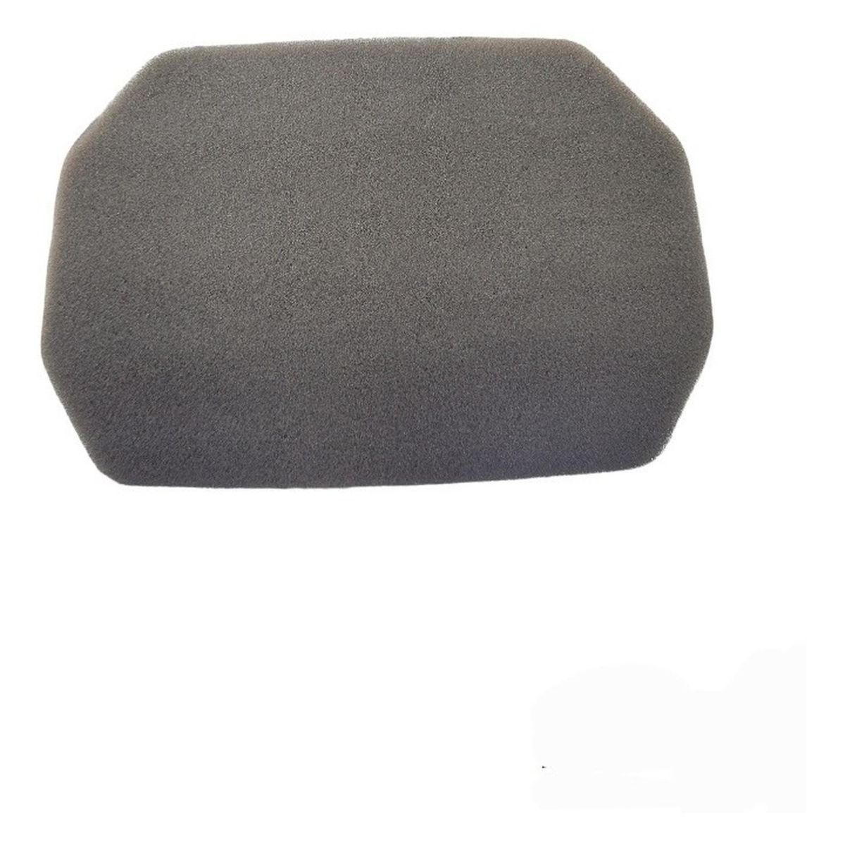 GENERICO - Filtro De Aire Motorrad Express 100 Original