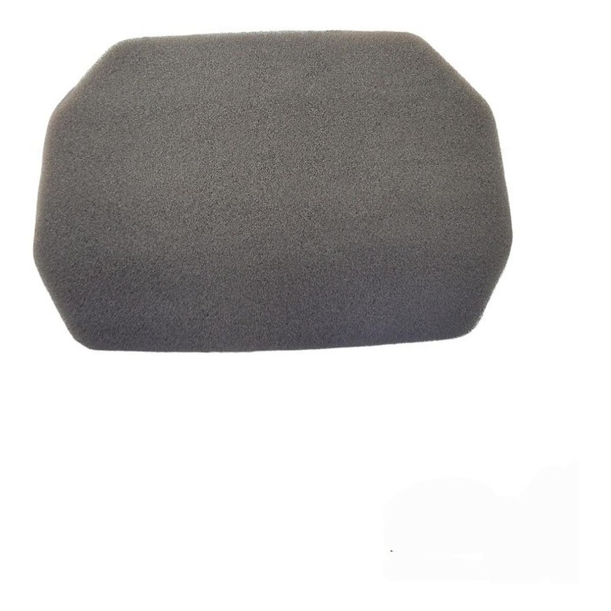 GENERICO - Filtro De Aire Motorrad Express 100 Original