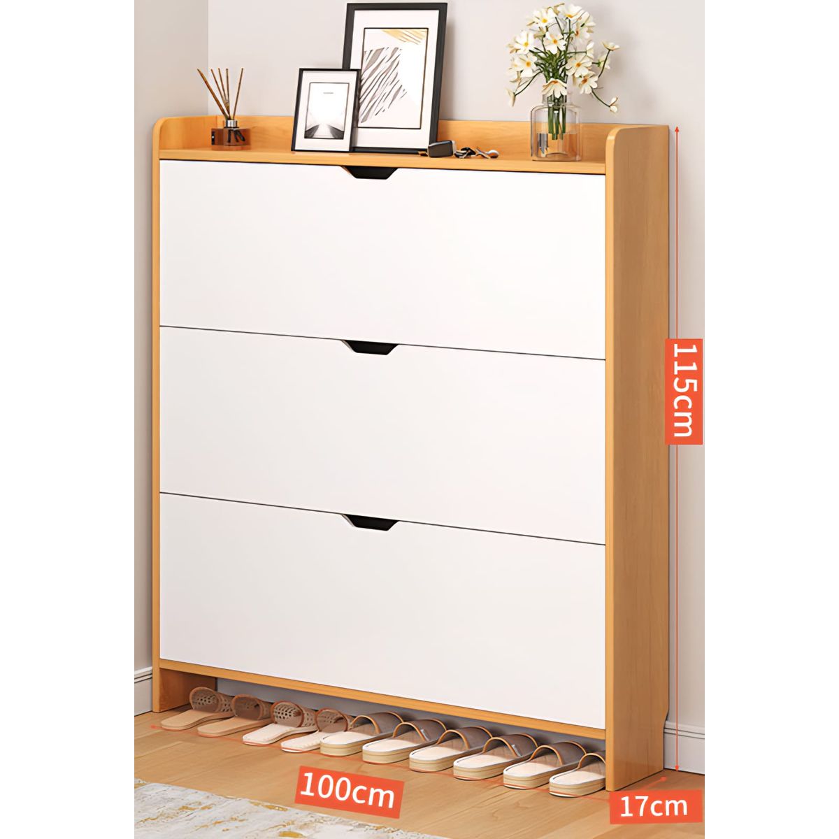 GENERICO - Zapatero Mueble Organizador de Zapatos para Entrada o Dormitorio