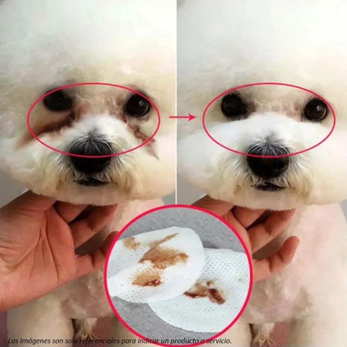 BIOLINE - Removedor Manchas De Lágrimas Para Mascotas 50 Ml