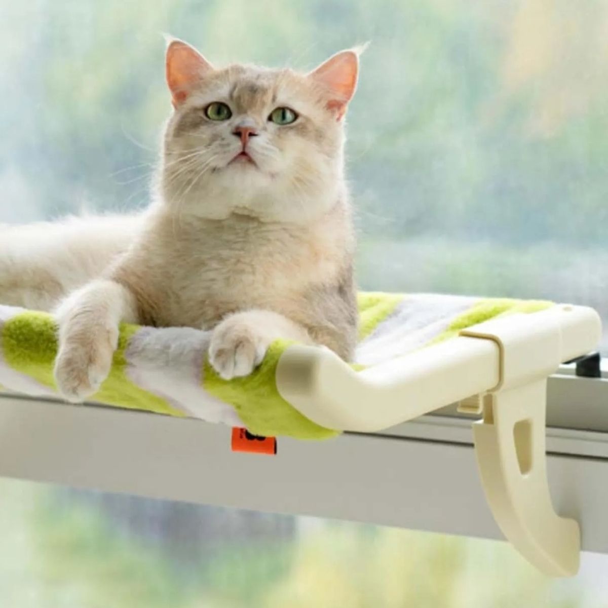 GENERICO - Cama Flotante para Gatos Mascotas Verde