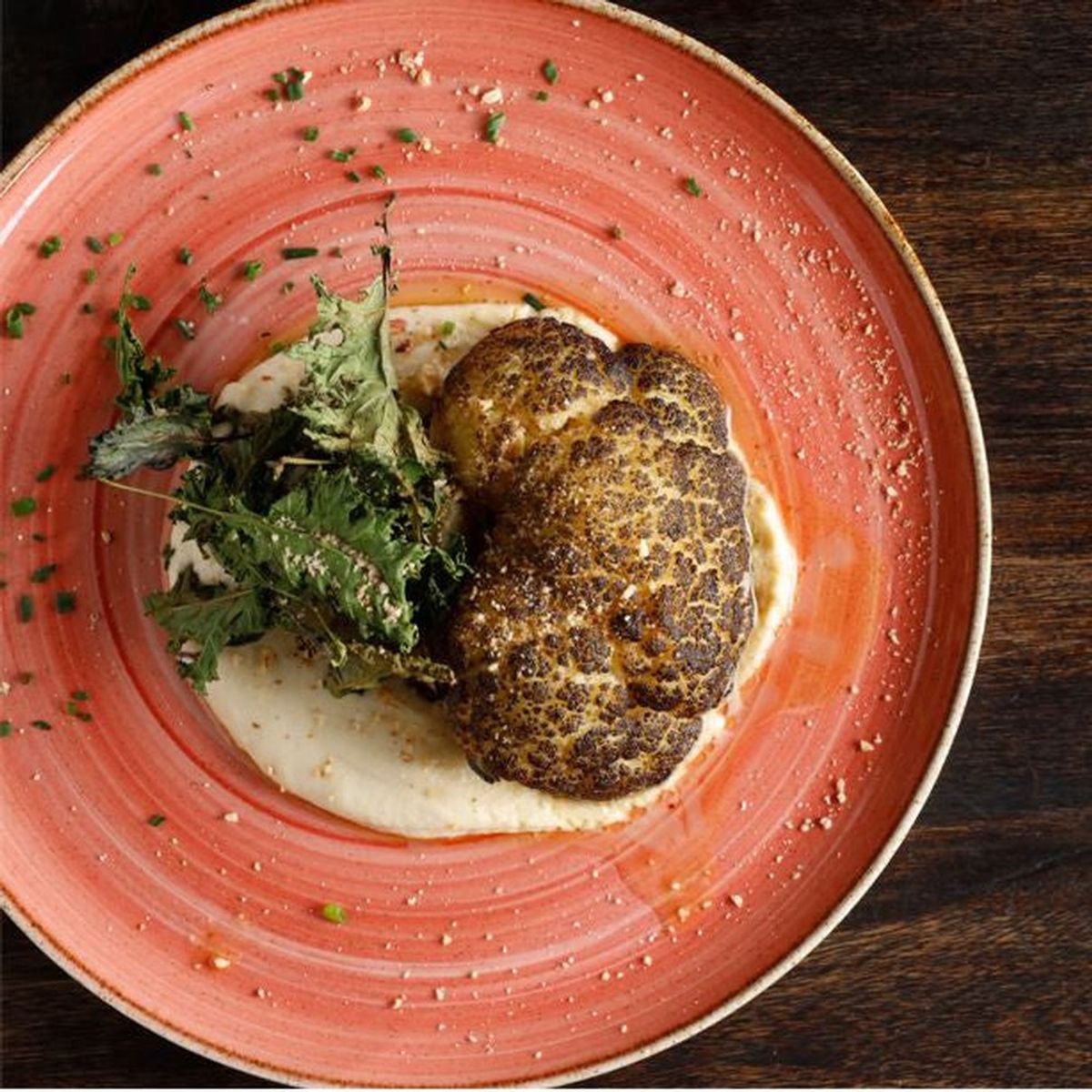 CORONA - Set de 6 Platos Coupe 23,6 Cm Salmón Artisan