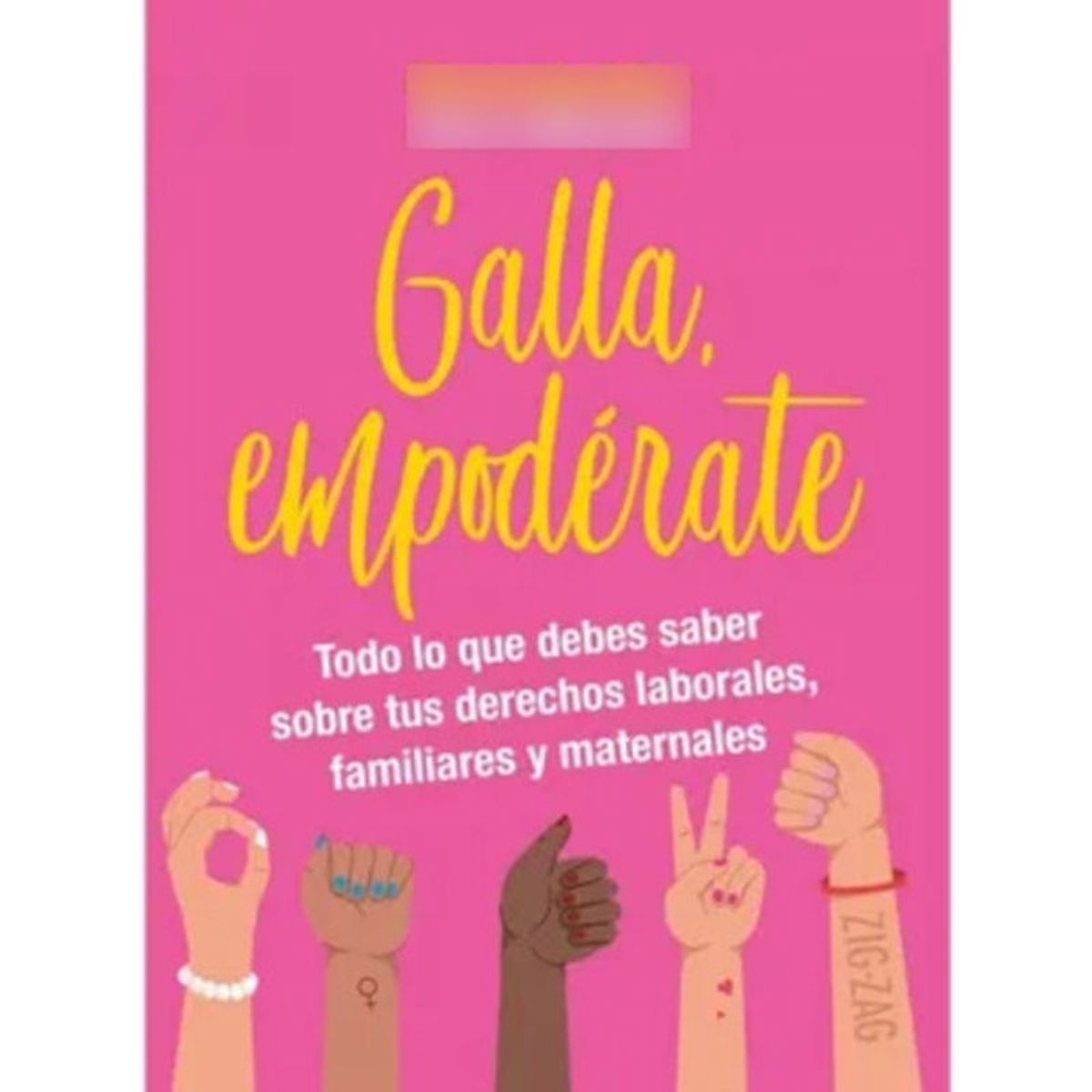 ZIG ZAG - Libro Galla Empodérate 844 De Paola Merchak