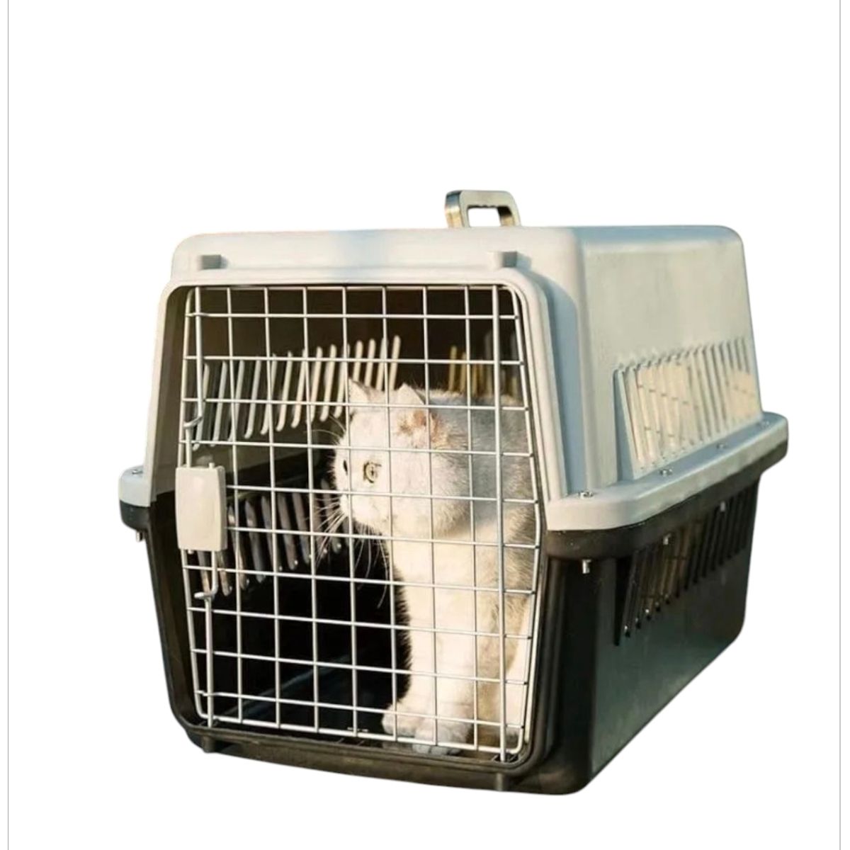 GENERICO - Jaula Canil Transportador para Mascota Talla M Negro