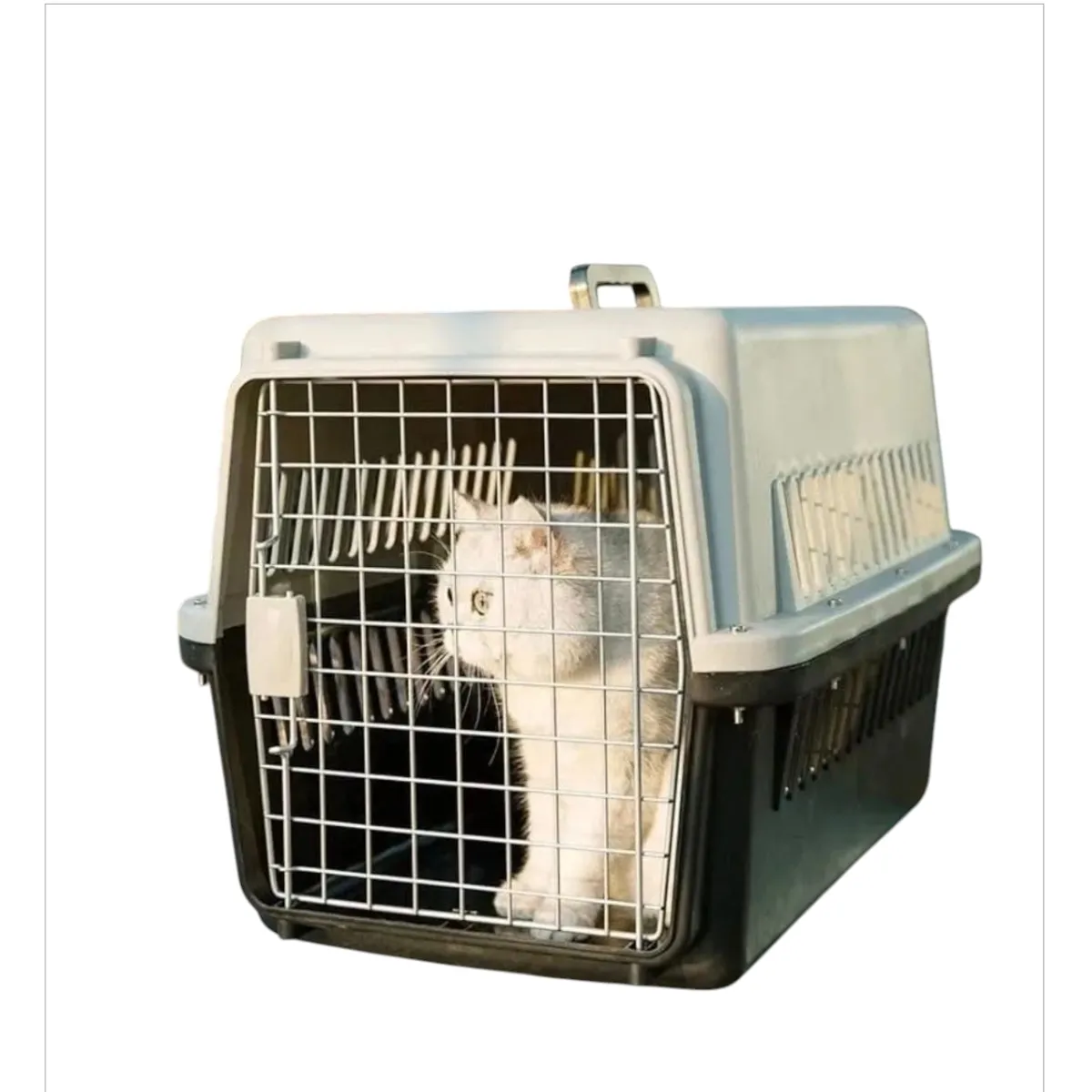 GENERICO - Jaula Canil Transportador para Mascota Talla M Negro