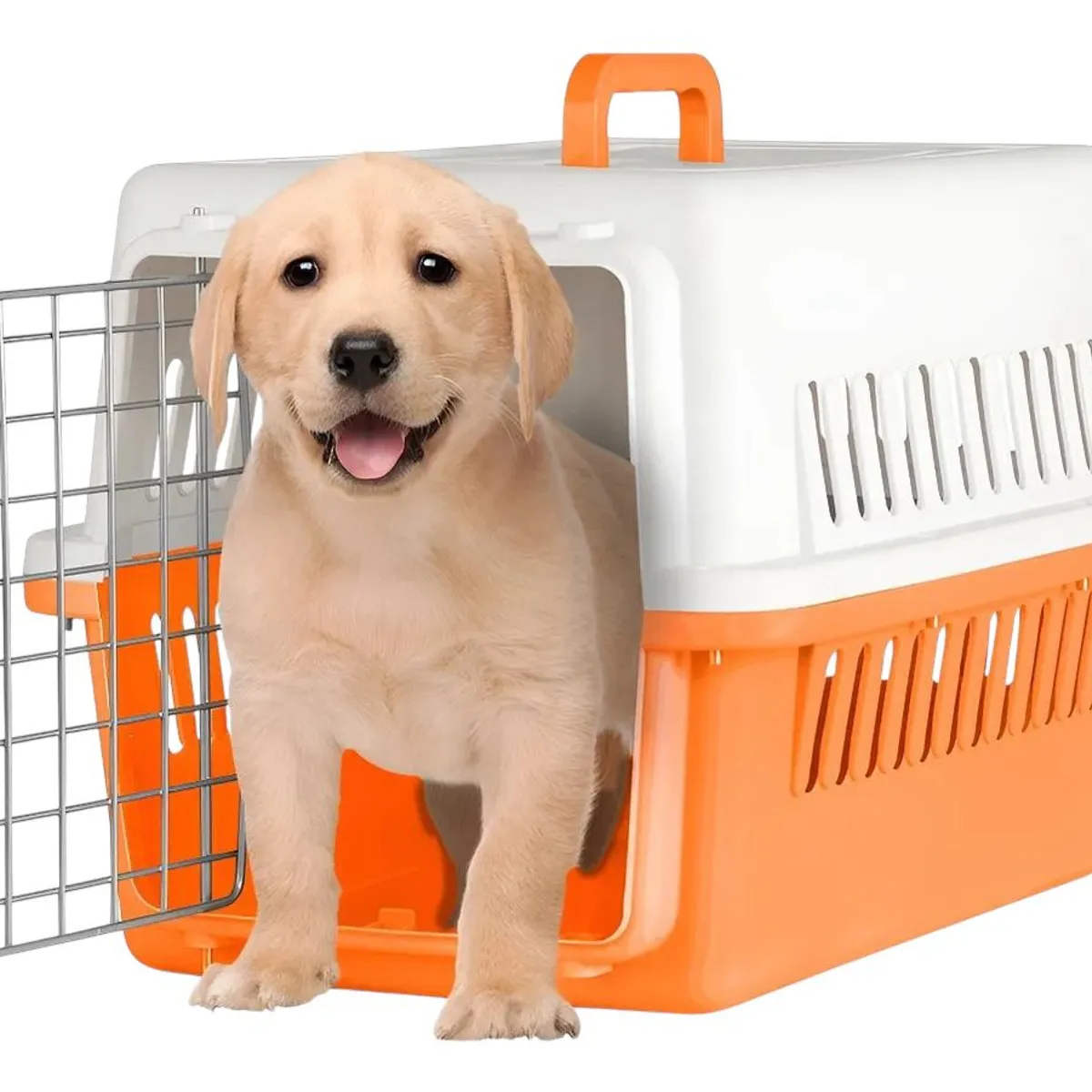 GENERICO - Jaula Canil Transportador para Mascota Talla M Naranja