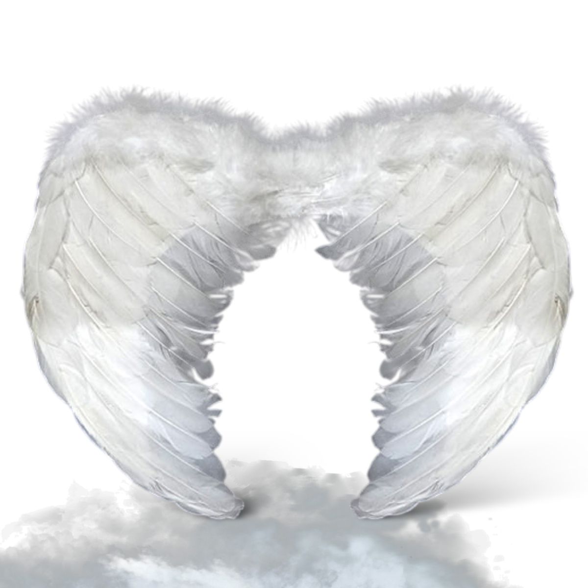 GENERICO - ALAS ANGEL PLUMA BLANCO 60X45 CM X1 UNI