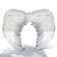 ALAS ANGEL PLUMA BLANCO 80X60 CM