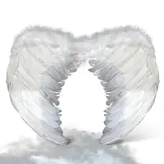 GENERICO - ALAS ANGEL PLUMA BLANCO 80X60 CM