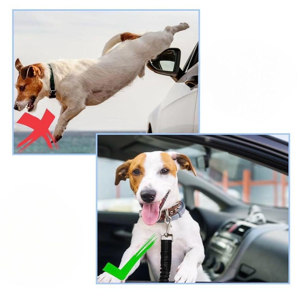 GENERICO - Cinturón de Auto para Mascotas Color Negro