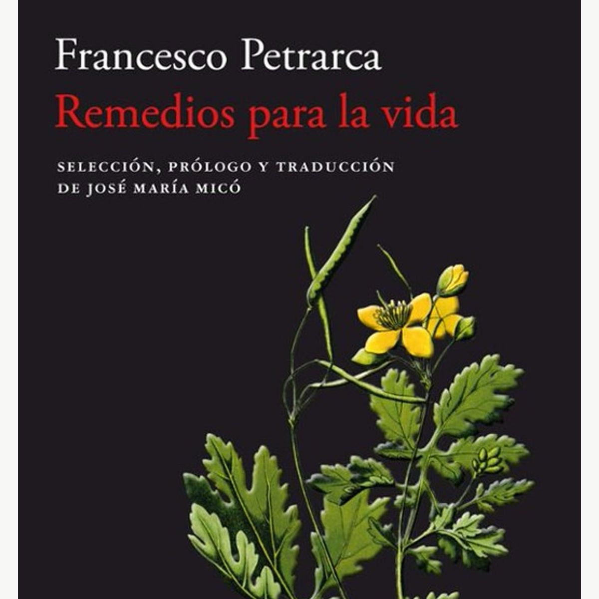 TOP10BOOKS - LIBRO Remedios Para La Vida - Remedios Para La Vida