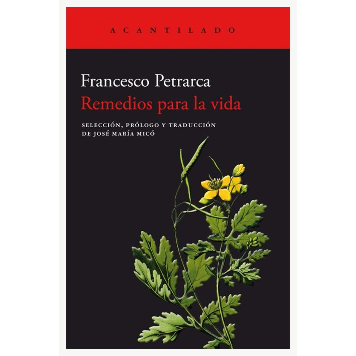 TOP10BOOKS - LIBRO Remedios Para La Vida - Remedios Para La Vida