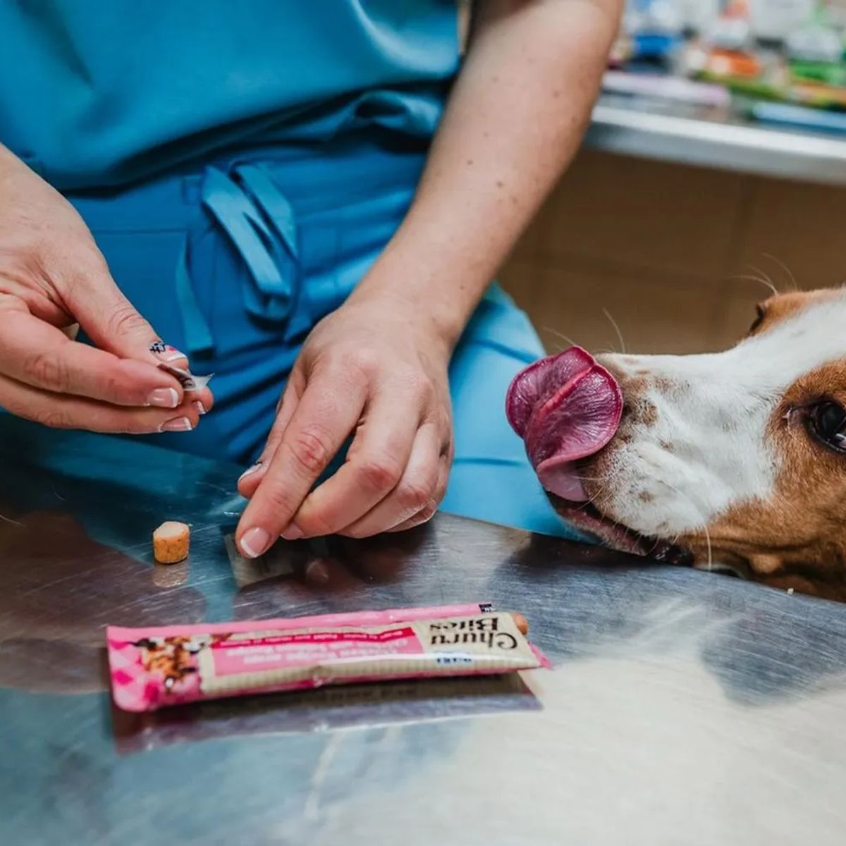 INABA - Inaba Snack Suplemento Para Perros Churu Bites Dog Treat 96g - Rosa
