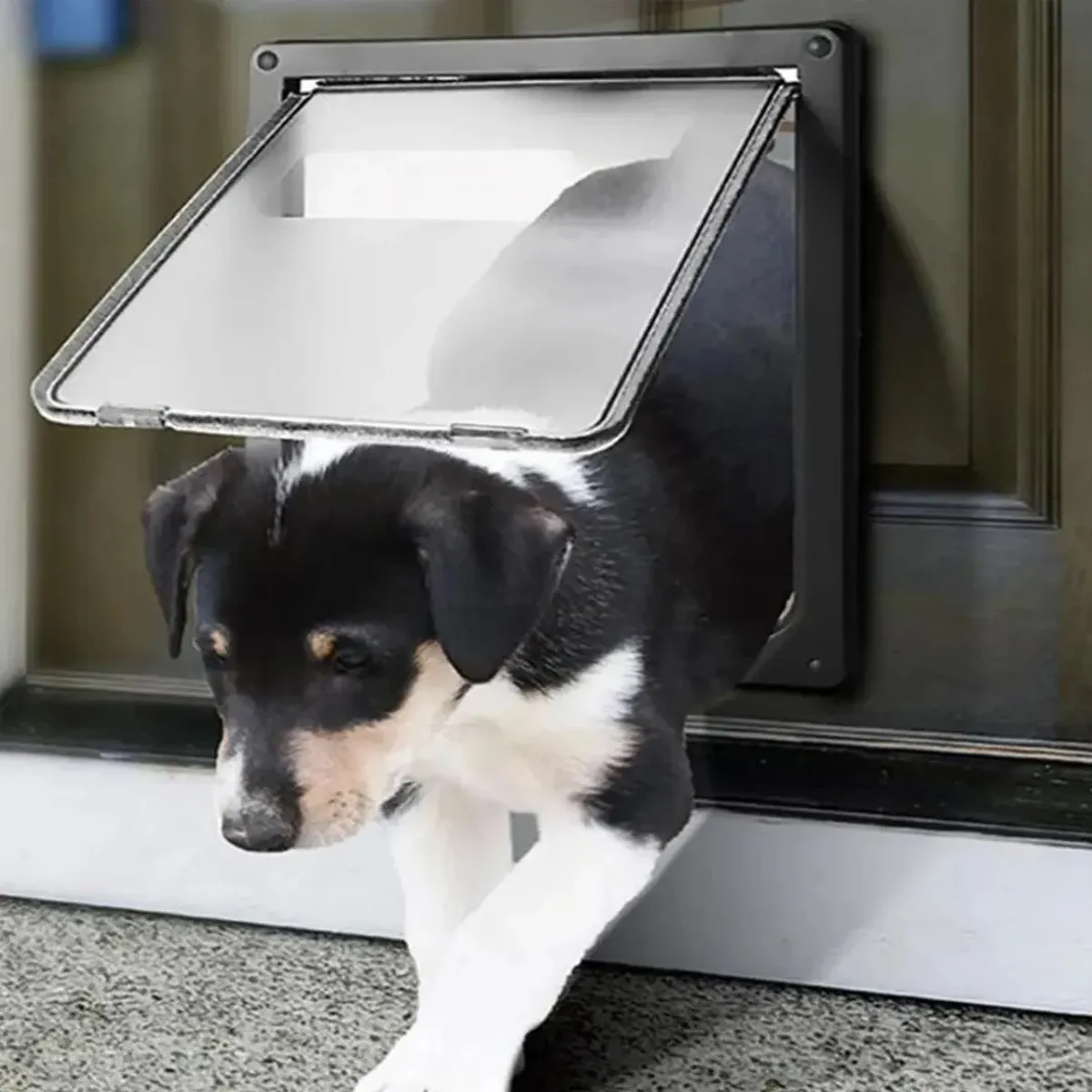 Puerta Exterior Grande XXL Para Perro Gato Mascota, marca GENERICO - Foto Principal