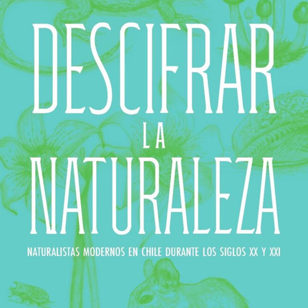 PLANETA - Libro Descifrar la naturaleza - Bárbara Tupper Baldwin