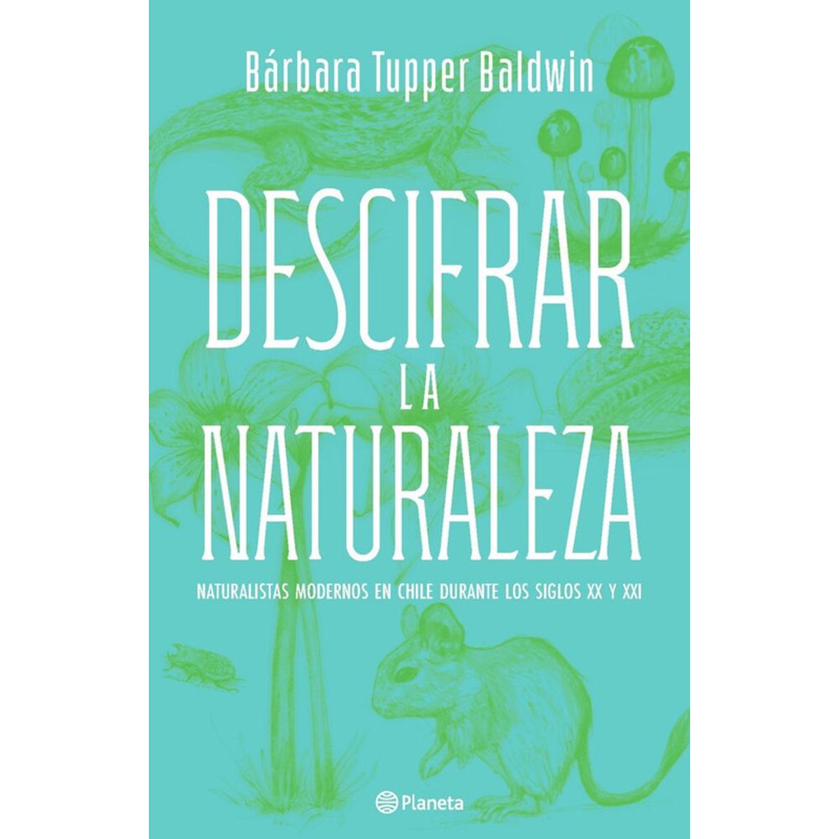 PLANETA - Libro Descifrar la naturaleza - Bárbara Tupper Baldwin