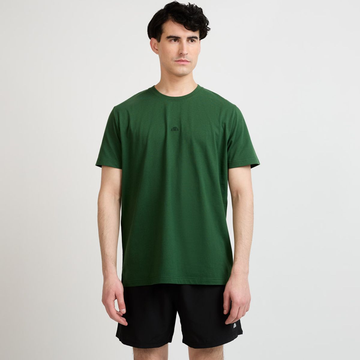 ELLESSE - POLERA HOMBRE ELLESSE BRIEN VERDE