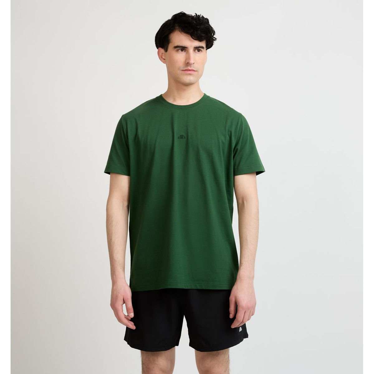 ELLESSE - POLERA HOMBRE ELLESSE BRIEN VERDE