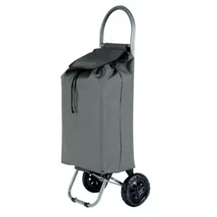 CARRY ALL - Carrito de Compras Plegable Adelaida Carro Feria Carga Yegua Gris