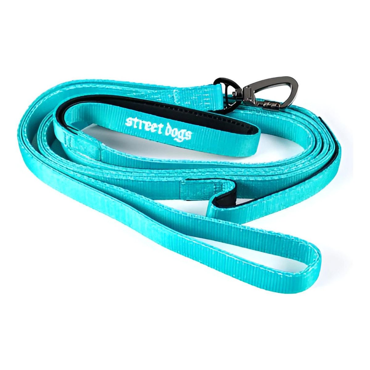 STREET DOGS - Correa De Paseo Para Perros Street Dogs Light 10m - Turquesa