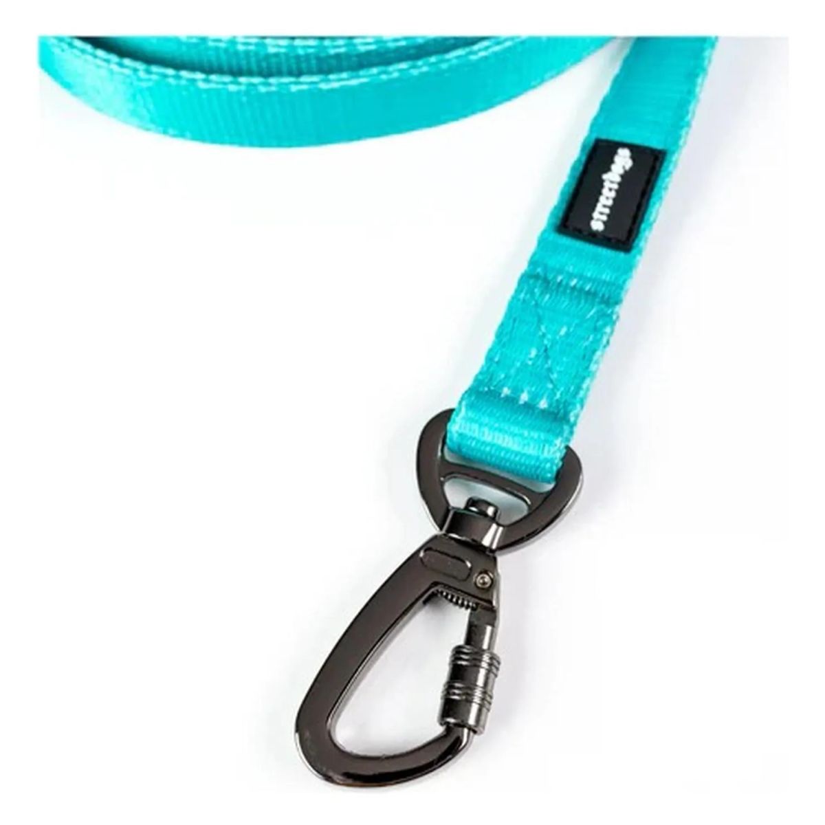 STREET DOGS - Correa De Paseo Para Perros Street Dogs Light 10m - Turquesa