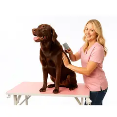 GENERICO - Mesa Plegable Para peluqueria de mascotas 130x60x78cm Rosado
