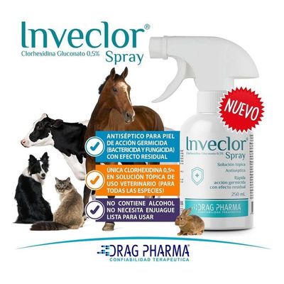 Imagen 2 del producto Inveclor Spray Solución Tópica Antiséptica 250ml Perro Gato