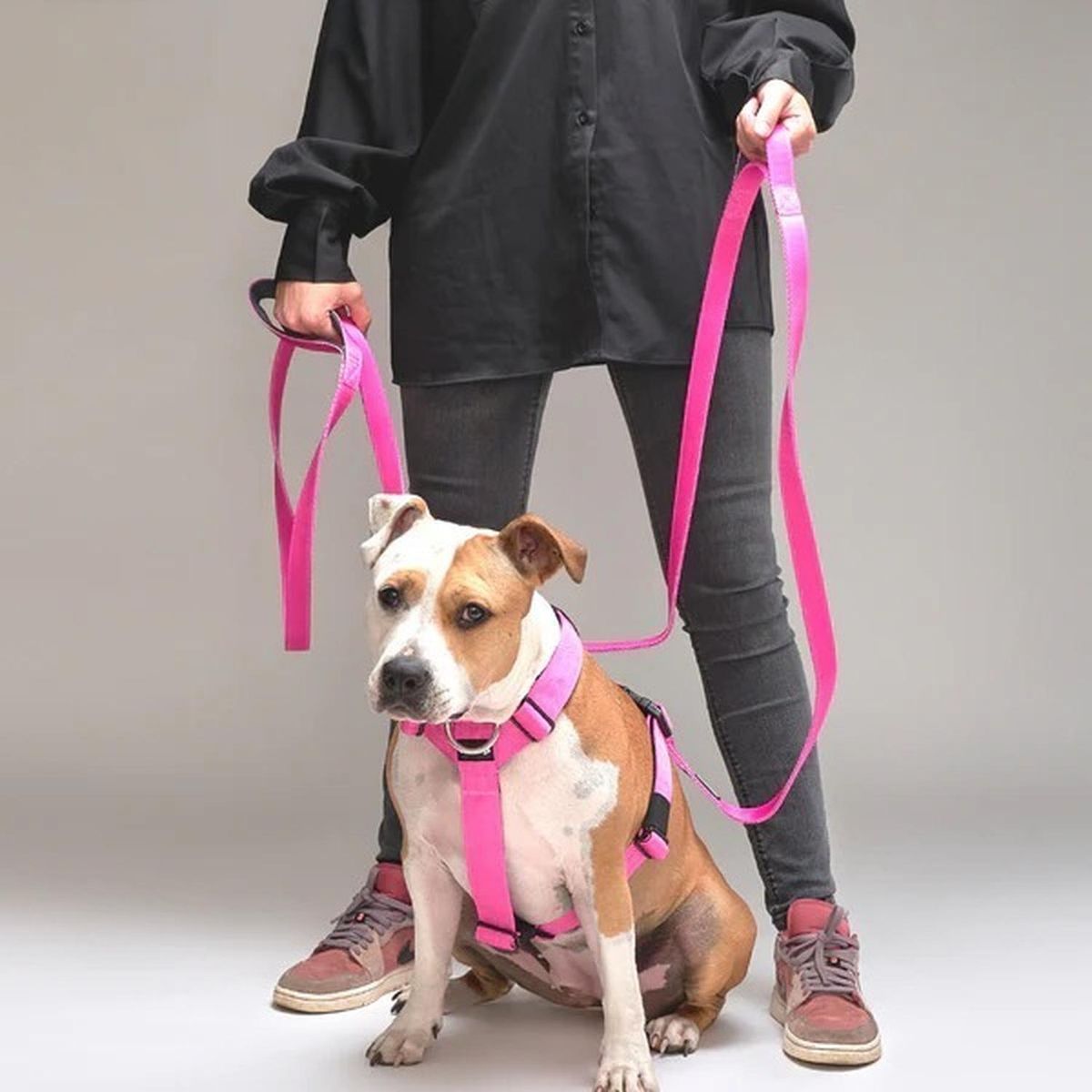 STREET DOGS - Correa De Paseo Para Perros Street Dogs Light 5m - Fucsia