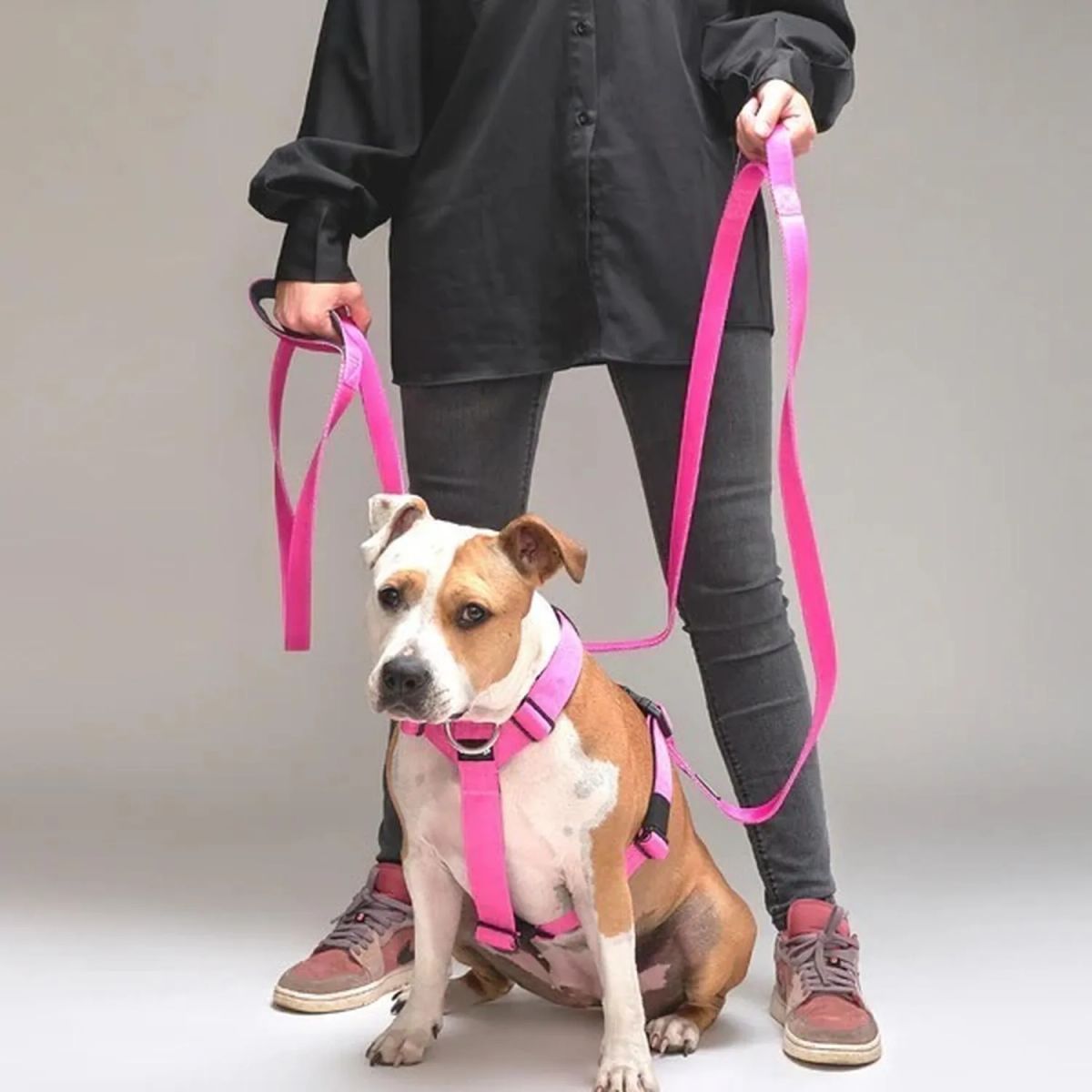 STREET DOGS - Correa De Paseo Para Perros Street Dogs Light 3m - Fucsia