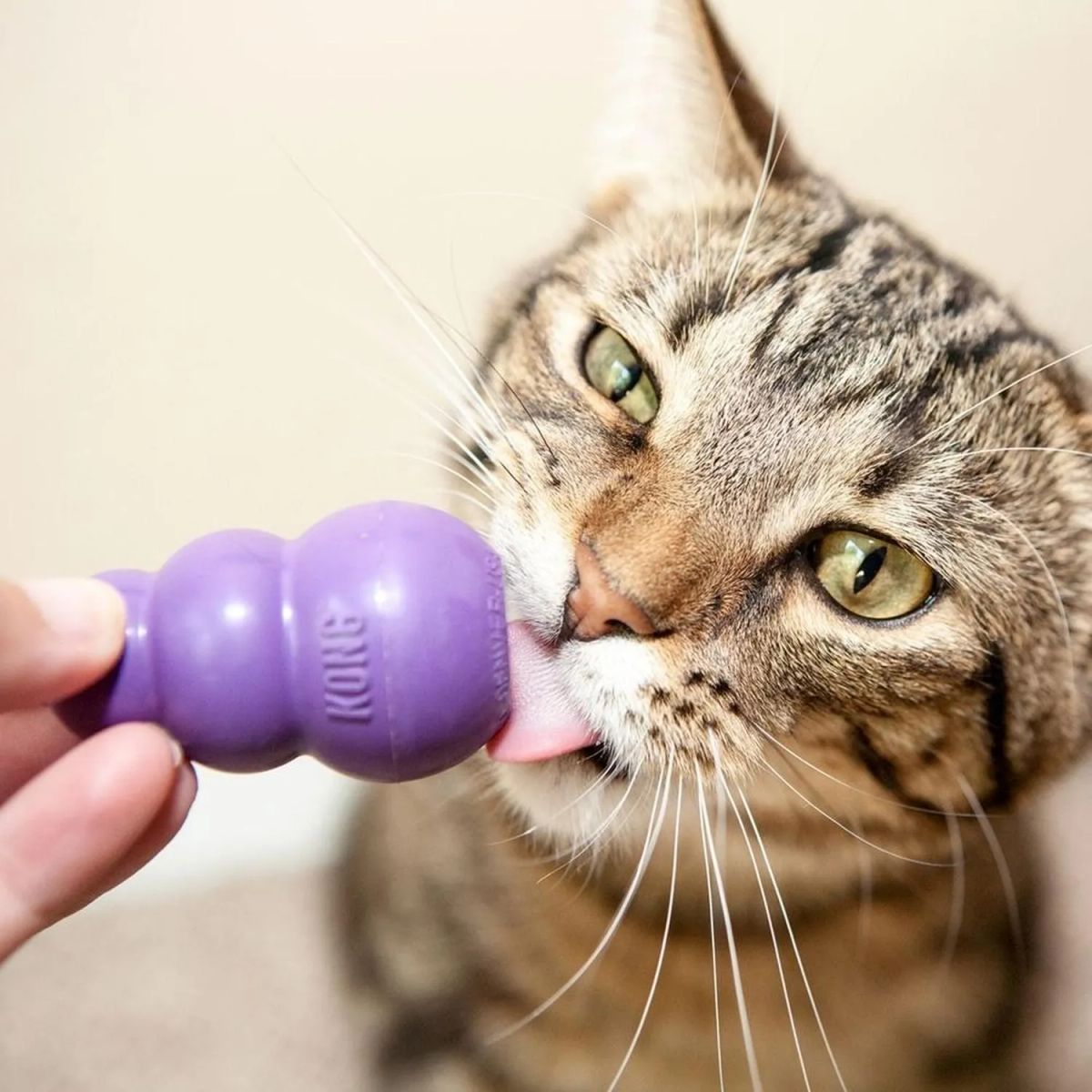 KONG - Juguete Kong Kitty Kong Para Gatos Rellenable Talla Única