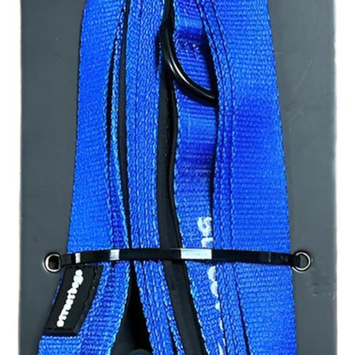 STREET DOGS - Correa De Paseo Y Adiestramiento Para Perros Street Dogs 3m - Azul