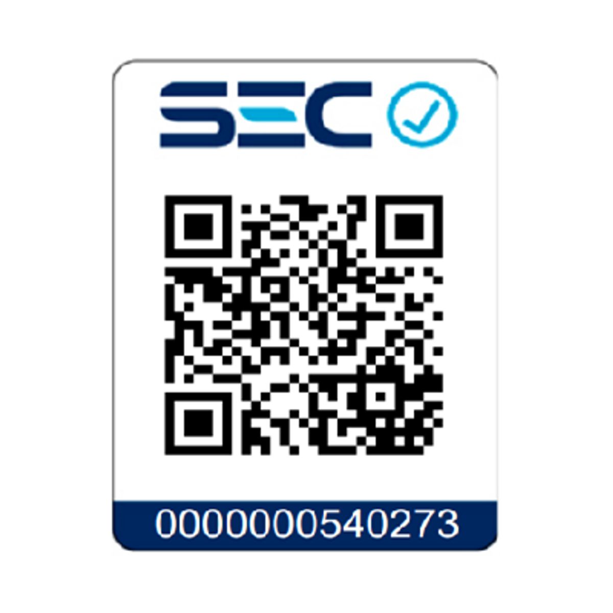 EINHELL - Sierra Circular Te-cs 18165-2 Li - Solo 18v Einhell Gris