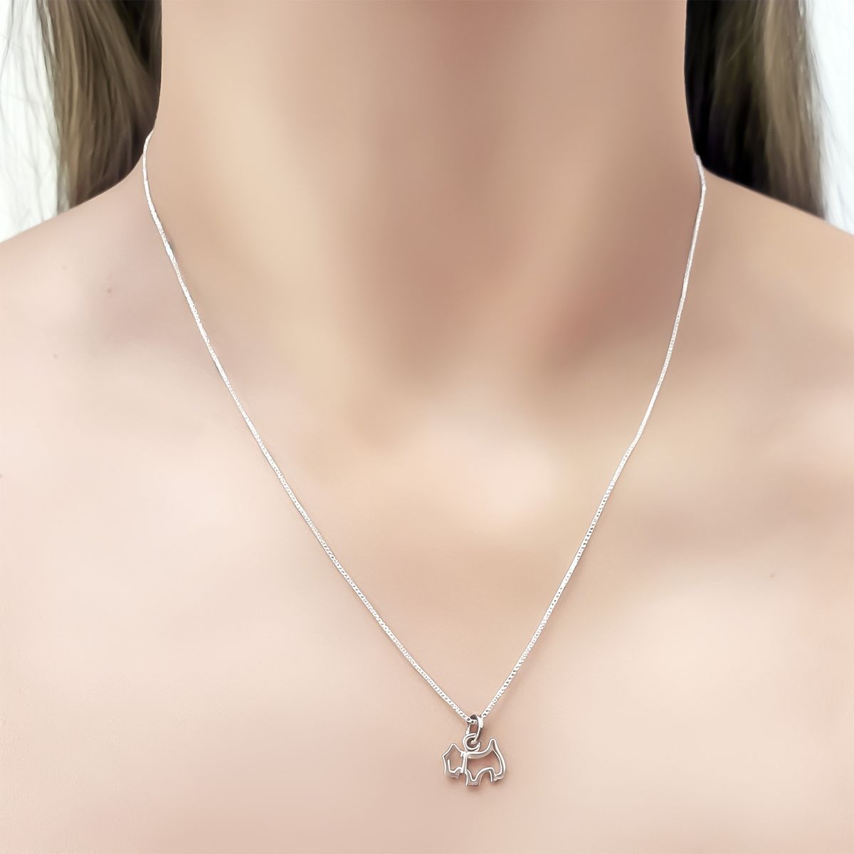 COGGIOLA - Collar Perro Calado Mini Plata Fina 925