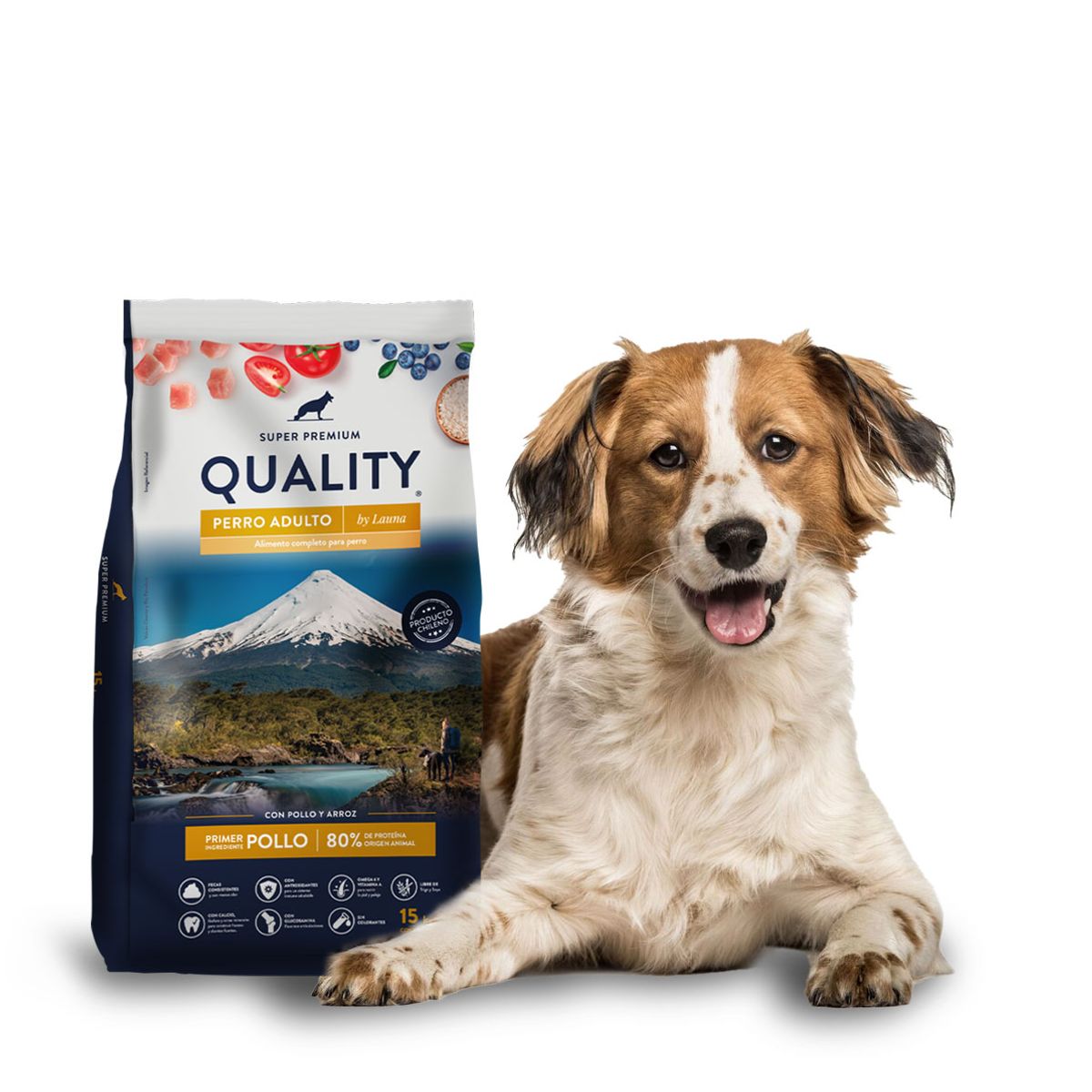 GENERICO - Alimento perro Quality Super Premium 15 kg