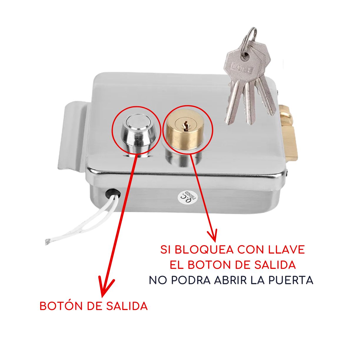 D MOTICA - Chapa Cerradura Eléctrica Acero Inoxidable Doble Cilindro