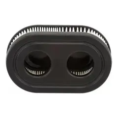 GENERICO - Filtro De Aire Motor Briggs & Stratton 550e 550ex