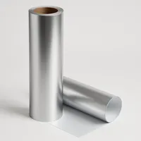 Vinilo Adhesivo Plateado Grafica X Rollo De 10 Mtrs X 61 Cm de ancho