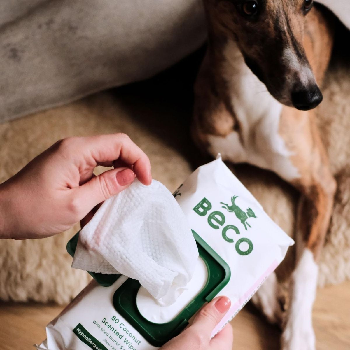 GENERICO - Beco Toallas Húmedas Wipes Para Mascotas Perro Y Gato 80u - Rosa