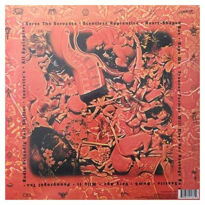 Imagen 2 del producto Nirvana - In Utero - Vinilo 180 grs