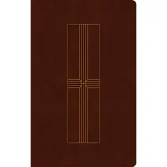 TYNDALE HOUSE PUBLISHERS - Biblia ultrafina NTV con Filament