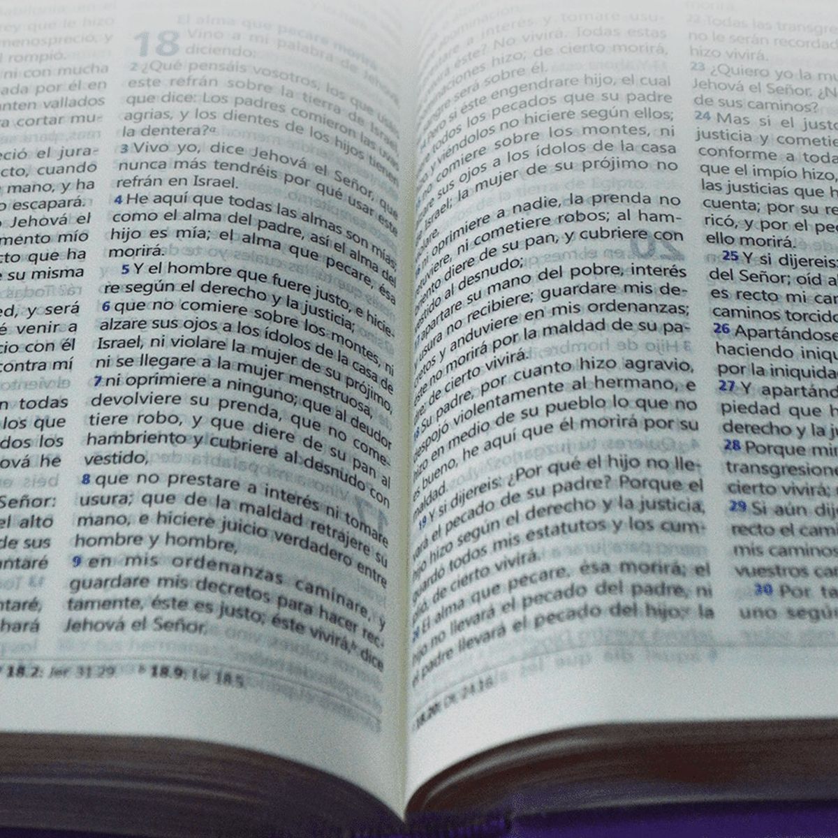 SOCIEDADES BIBLICAS UNIDAS - Biblia Reina Valera 1960 Letra 9 puntos púrpura