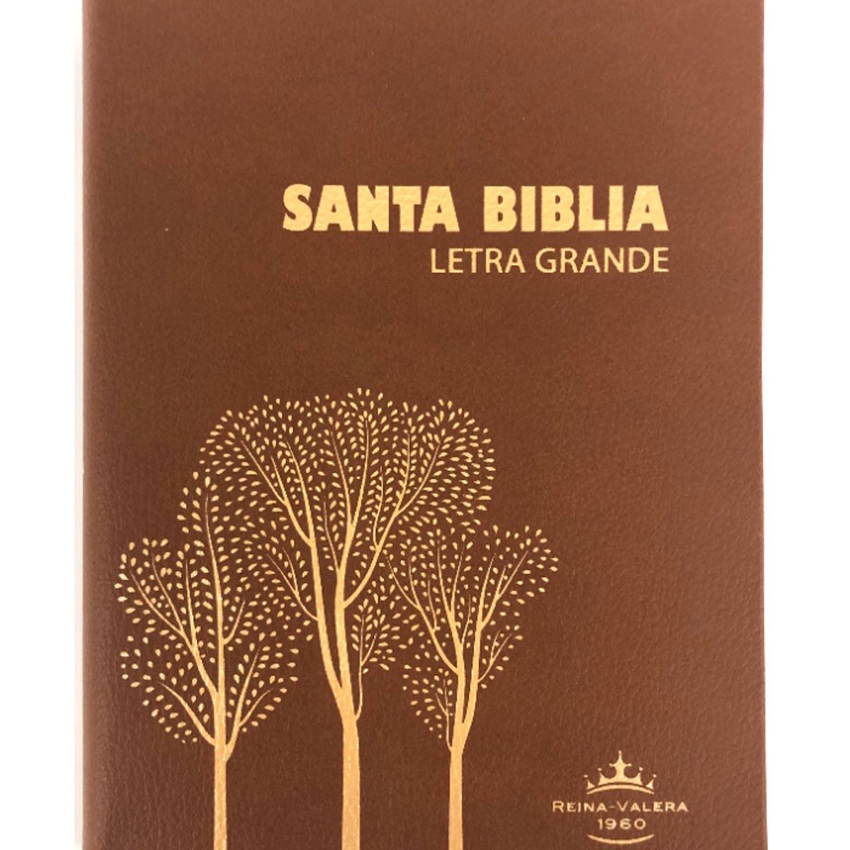 SOCIEDADES BIBLICAS UNIDAS - Biblia Reina Valera 1960 Letra Grande Vinil Concordancia