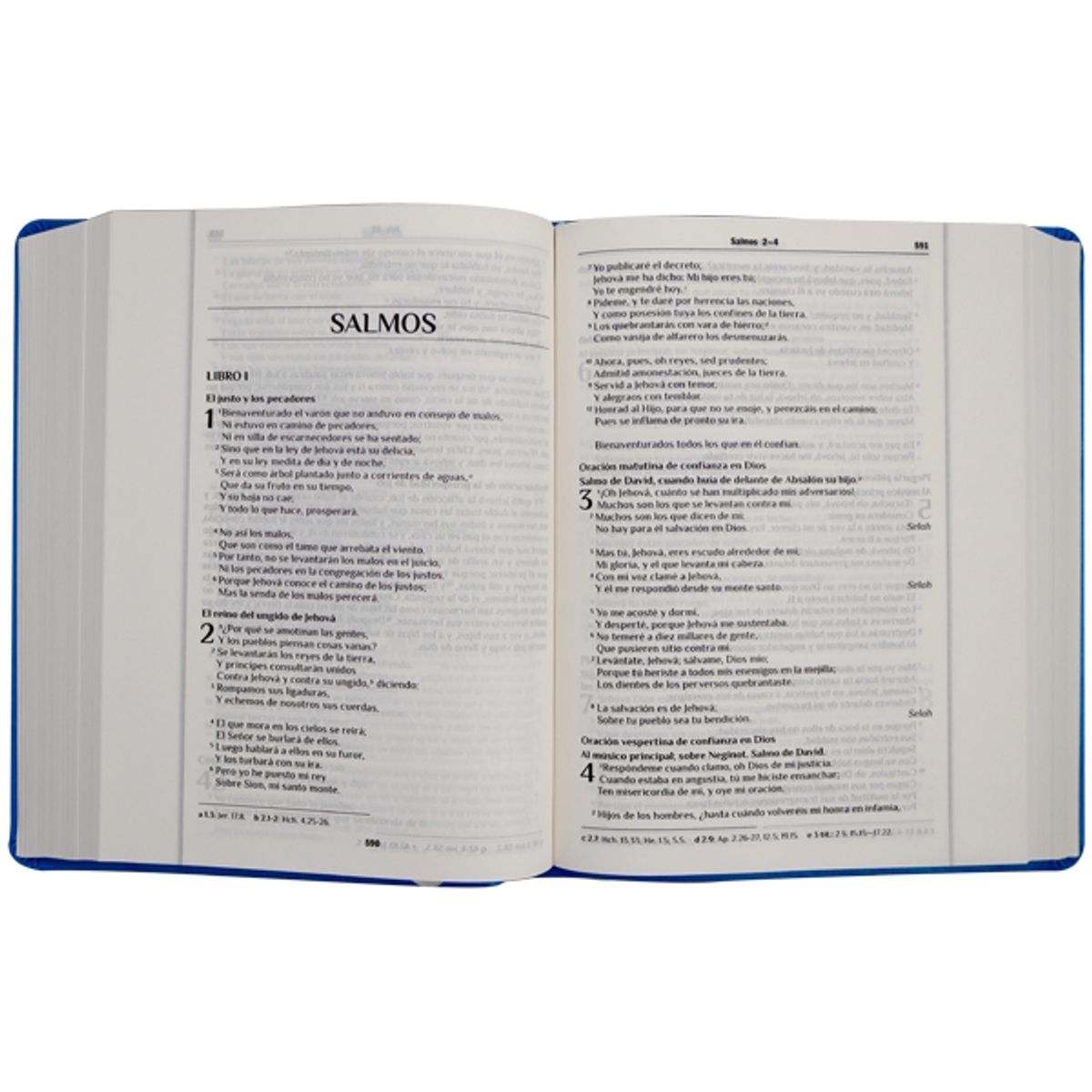 SOCIEDADES BIBLICAS UNIDAS - Biblia Devocional y Apuntes Reina Valera 1960